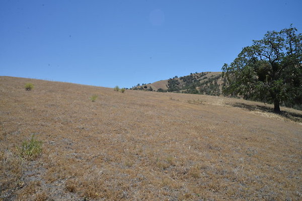 DSC 7092