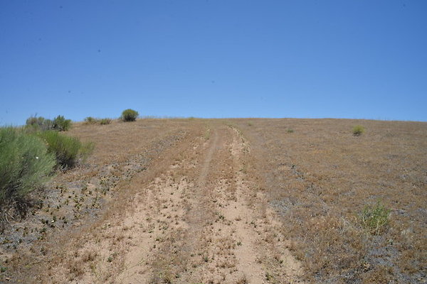 DSC 7091