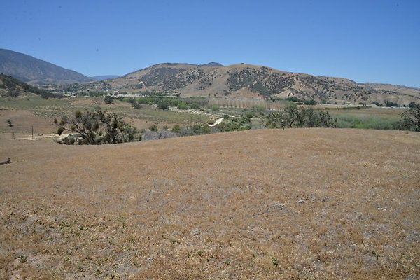 DSC 7089
