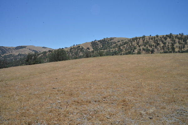 DSC 7093