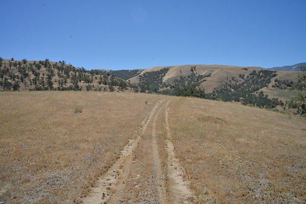 DSC 7094