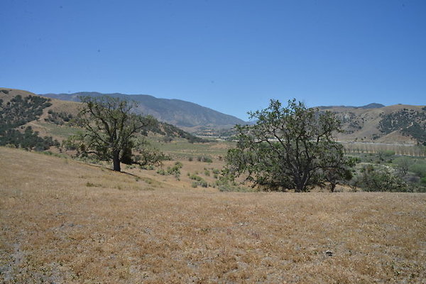 DSC 7095