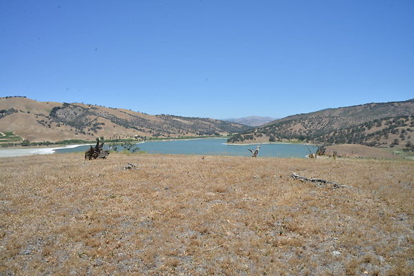 DSC 7100