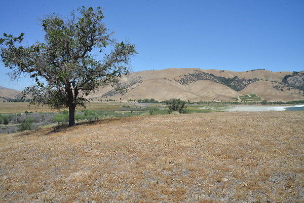 DSC 7099