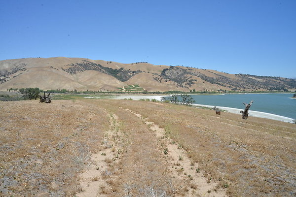 DSC 7097