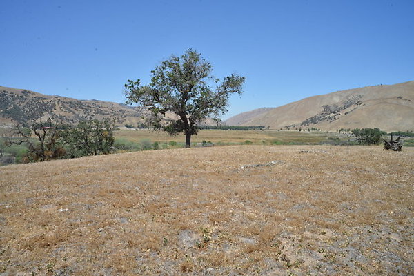 DSC 7096