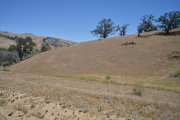 DSC 7085