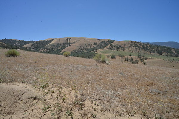DSC 7082