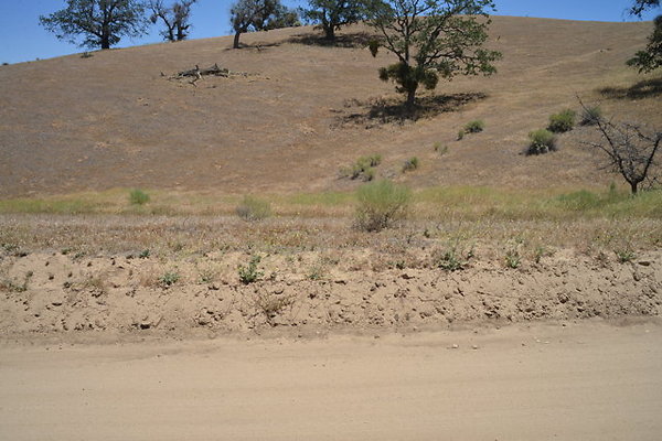 DSC 7078