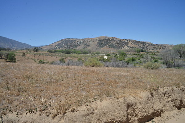 DSC 7083