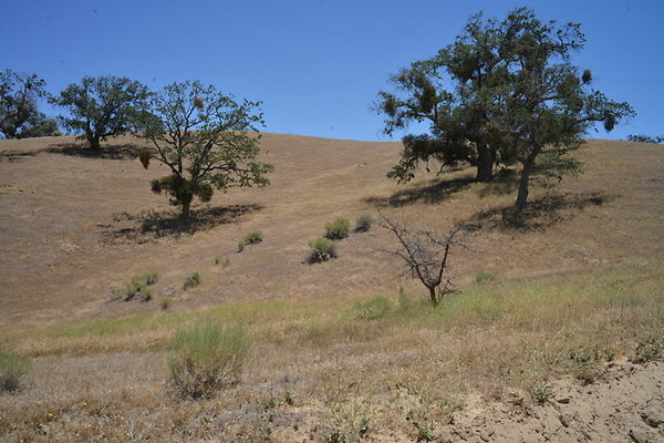 DSC 7080