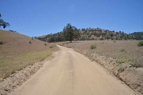 DSC 7081