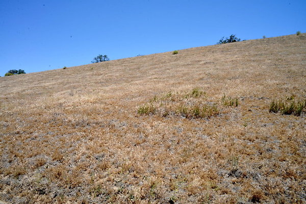 DSC 7061