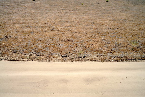 DSC 7063