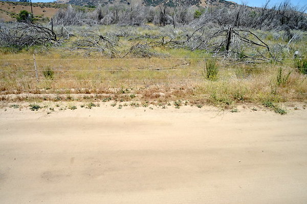 DSC 7066
