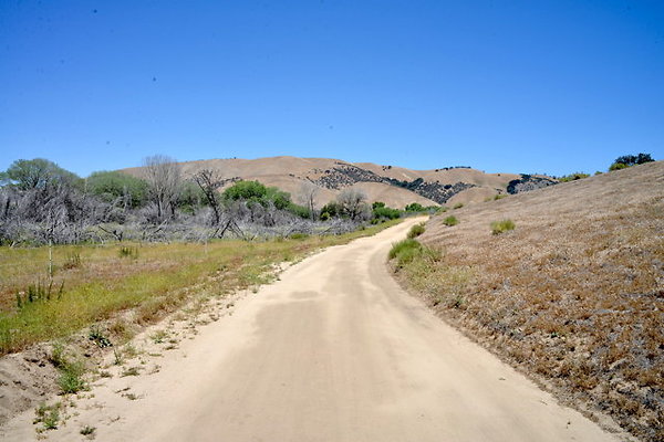 DSC 7060