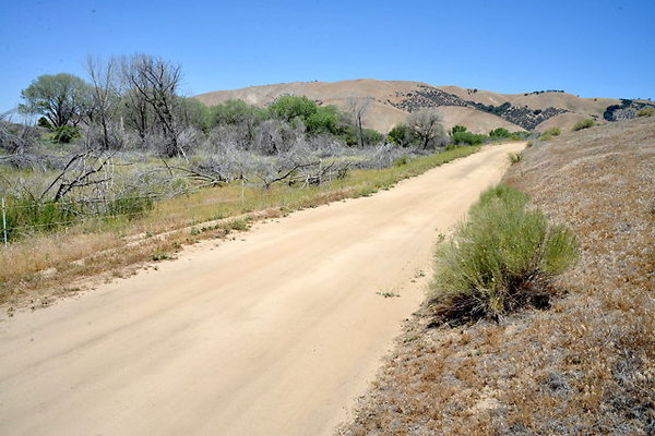 DSC 7067