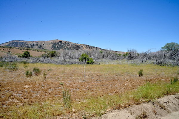DSC 7059