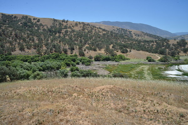 DSC 7188