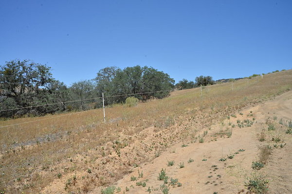 DSC 7183