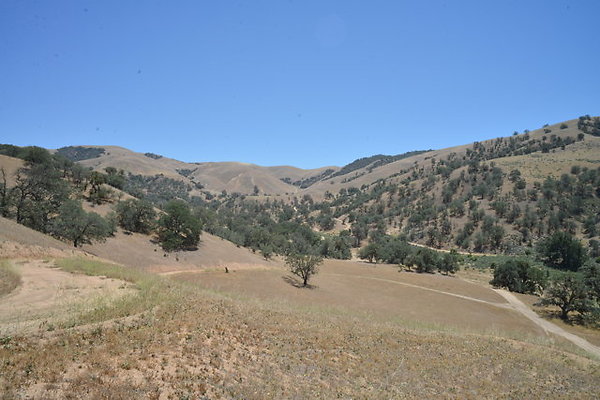DSC 7185