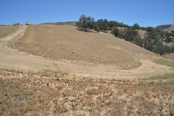 DSC 7186