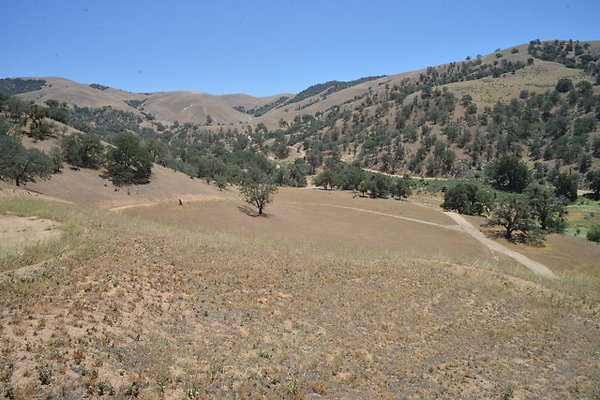 DSC 7187