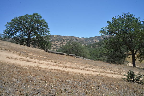 DSC 7126