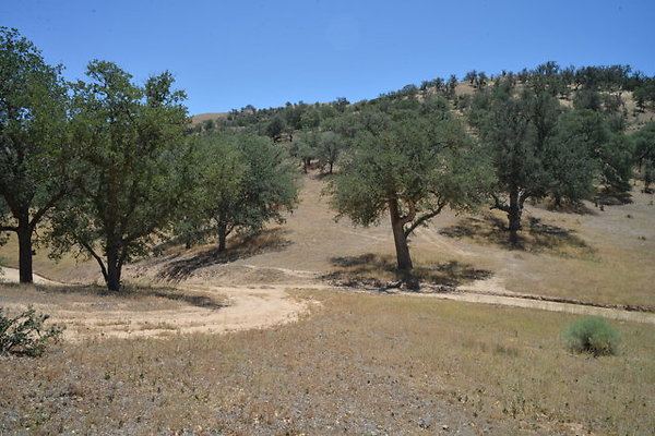 DSC 7127