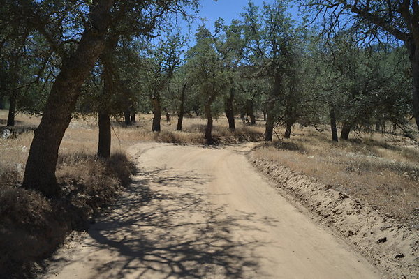 DSC 7136