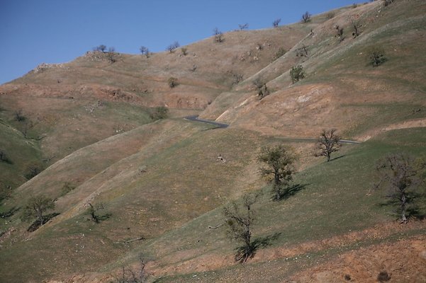 Tejon.DWR.Road.84 Tejon.DWR.Road.84