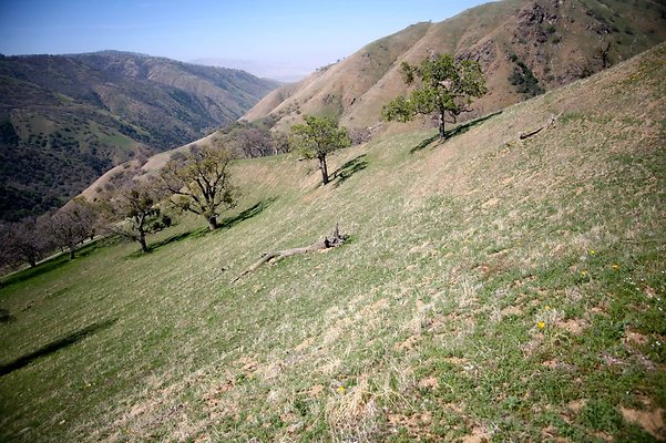 Tejon.DWR.Road.103 Tejon.DWR.Road.103