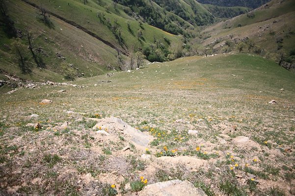 Tejon.DWR.Road.62 Tejon.DWR.Road.62