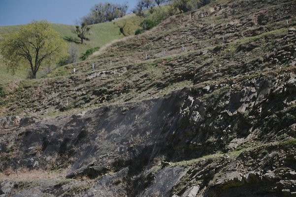 Tejon.DWR.Road.87 Tejon.DWR.Road.87