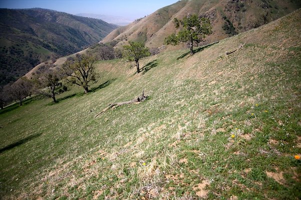 Tejon.DWR.Road.105 Tejon.DWR.Road.105