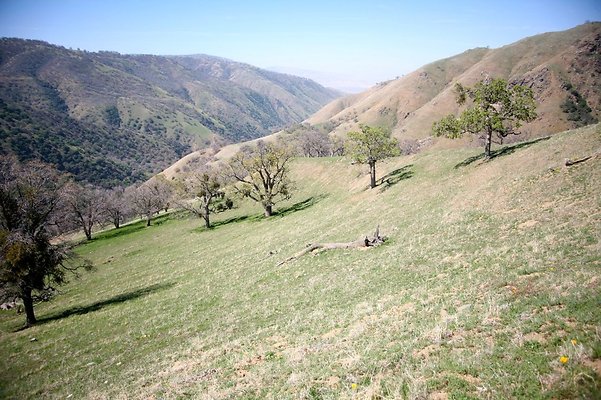 Tejon.DWR.Road.107 Tejon.DWR.Road.107