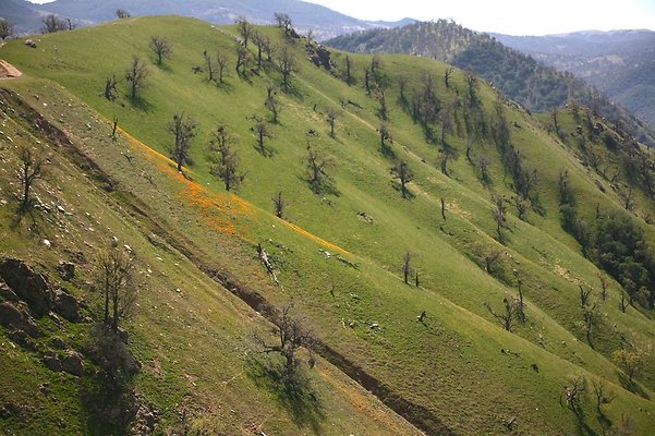 Tejon.DWR.Road.64 Tejon.DWR.Road.64