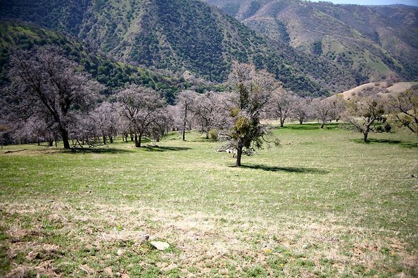 Tejon.DWR.Road.102 Tejon.DWR.Road.102