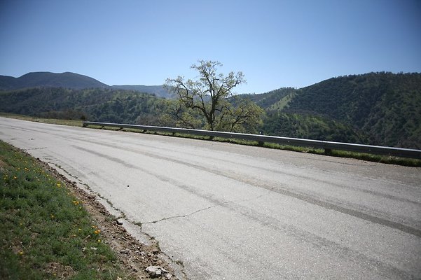 Tejon.DWR.Road.88 Tejon.DWR.Road.88
