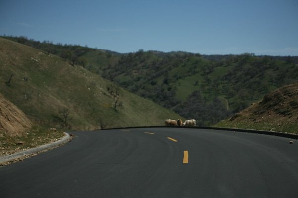 Tejon.DWR.Road.66 Tejon.DWR.Road.66