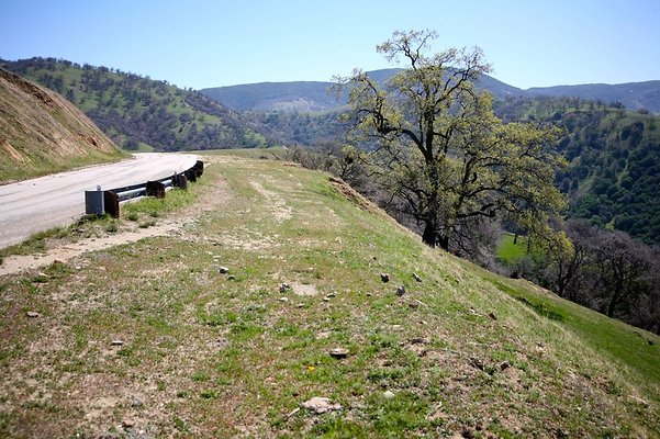 Tejon.DWR.Road.101 Tejon.DWR.Road.101