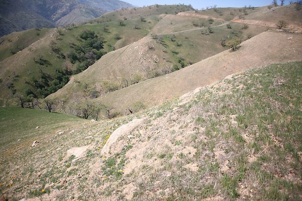 Tejon.DWR.Road.63 Tejon.DWR.Road.63