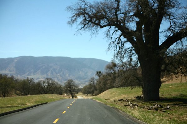 Tejon.DWR.Road.120 Tejon.DWR.Road.120