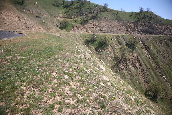 Tejon.DWR.Road.61 Tejon.DWR.Road.61