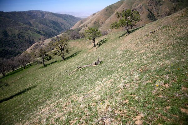 Tejon.DWR.Road.104 Tejon.DWR.Road.104