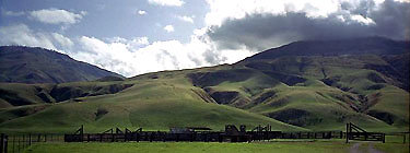 d6-05p