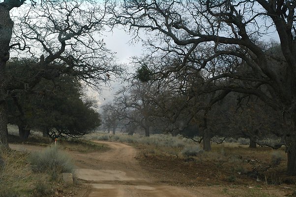 Oak Tree Road to Pad