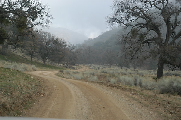 OakTreeRoadToPad 0155