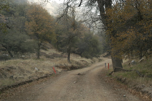 OakTreeRoadToPad 0157
