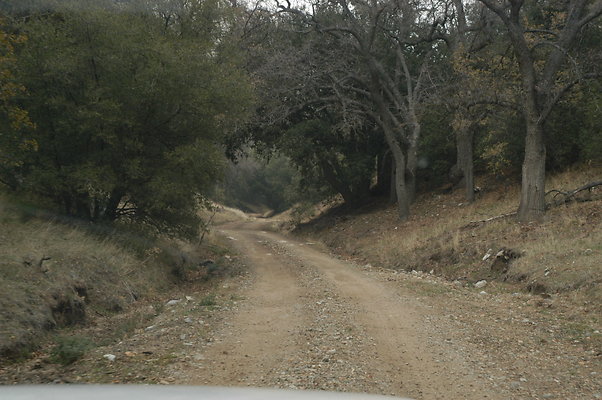 OakTreeRoadToPad 0158